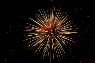 夜空中绽放的绚丽烟花