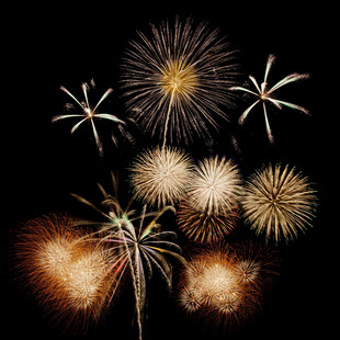 绚丽烟花绽放夜空