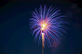 夜空中绽放的绚丽烟花