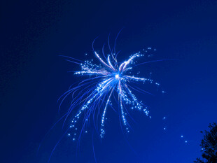 夜空中绽放的绚丽烟花