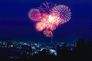 夜空中绚烂的烟花绽放