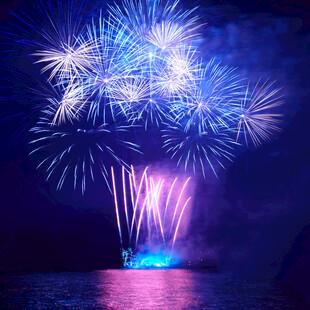 夜空中绚烂的烟花绽放