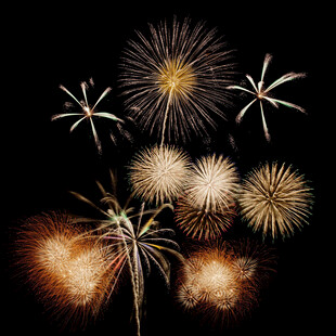 绚丽烟花绽放夜空