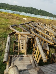 废弃木质栈道遗迹