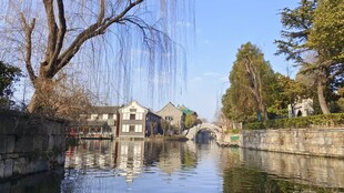 河畔垂柳映碧水美景