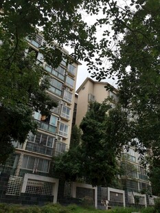 绿树环绕的多层居民楼