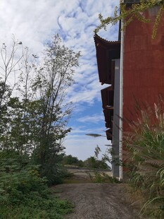 红建筑旁的绿植与小路