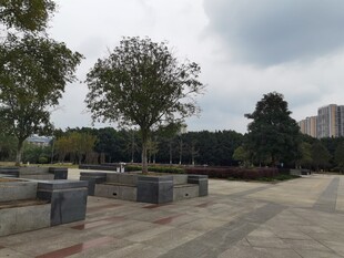 城市公园开阔休闲空间