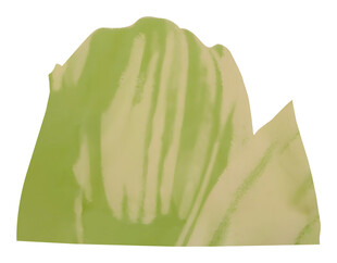 淡绿色条纹叶片局部特写白墨直喷