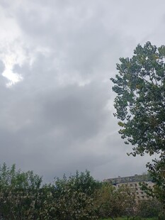 阴云下的绿树与远方建筑