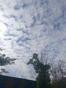 天空中的美丽云层景观