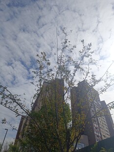 城市高楼与天际线景观