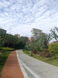 郊外林荫小道风景图