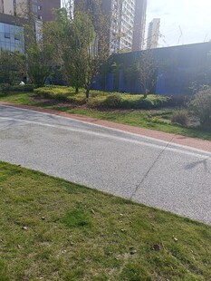 城市中整洁的道路与绿化