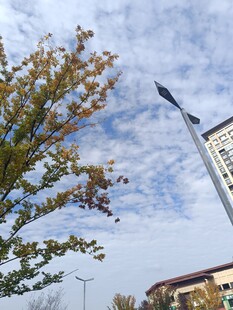 户外风景中的树与现代雕塑