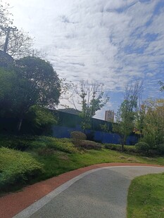 蜿蜒小路旁的绿植与建筑