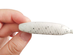 手持白色斑点鱼饵