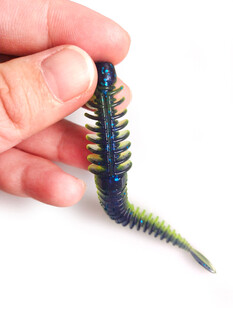 手握着的彩色多足虫