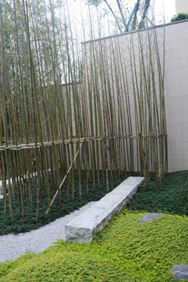 竹林旁的现代景观步道