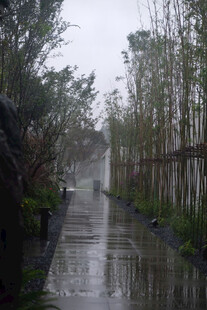 雨中庭院石板路景观