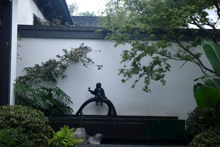 中式庭院景墙与绿植