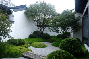 日式庭院景观绿意盎然