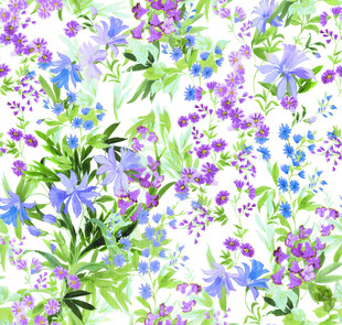 清新 花卉 紫色 