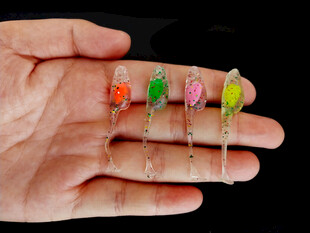 手中多彩鱼饵展示