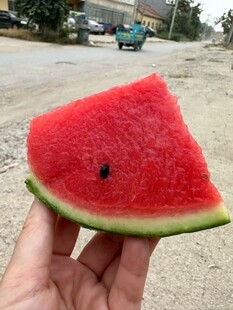 手捧鲜红多汁切片西瓜