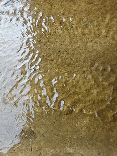 清澈水底的波纹景象