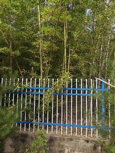 蓝白相间的户外木栅栏