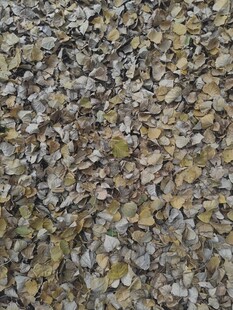 碎石地面纹理特写