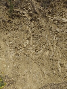 粗糙泥土纹理特写