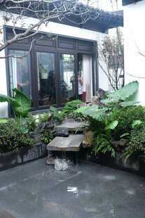 庭院水景绿植景观一角