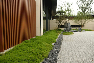 庭院绿植与砾石小径景观