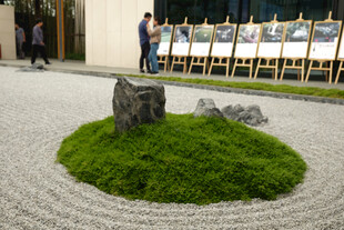 日式庭院中的绿植景观