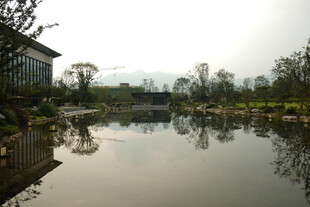 湖畔风光静谧自然景致