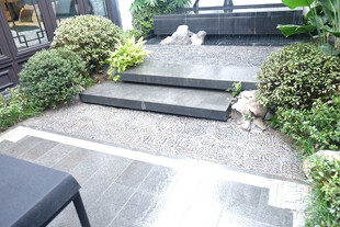 庭院石板小径绿植景观