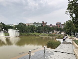 湖畔风景漫步惬意时光