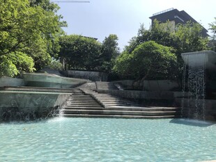 户外泳池旁的绿植景观