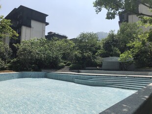 现代庭院中的清澈泳池