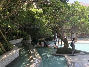 热带风情中的户外泳池景观