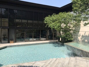 现代庭院中的清澈泳池