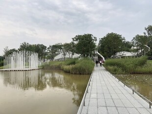 湖畔木栈道漫步赏景处