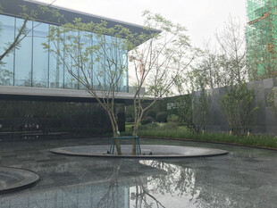 现代建筑旁的水景与树木