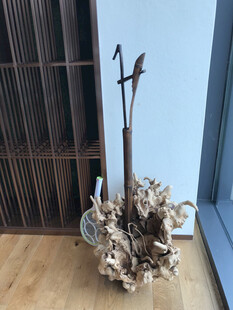 中式室内干花与乐器摆件