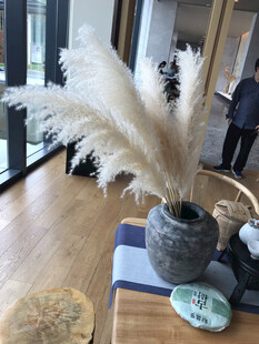 简约风花瓶搭配蓬松芦苇