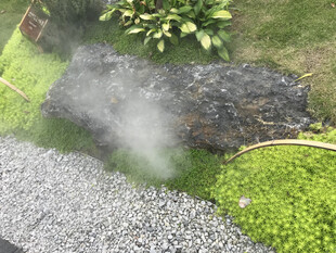 花园中雾化装置营造朦胧美