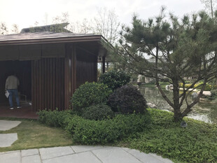 日式庭院小屋景观