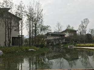 湖畔中式建筑景观